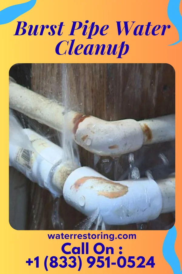Burst Pipe Water Cleanup in Waldo, OH