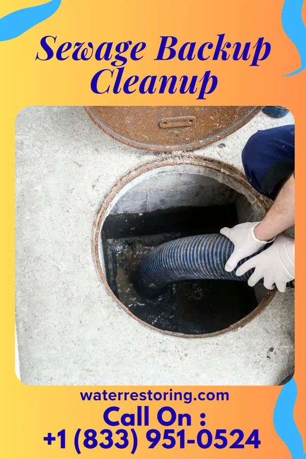 Sewage Backup Cleanup in Waldo, OH