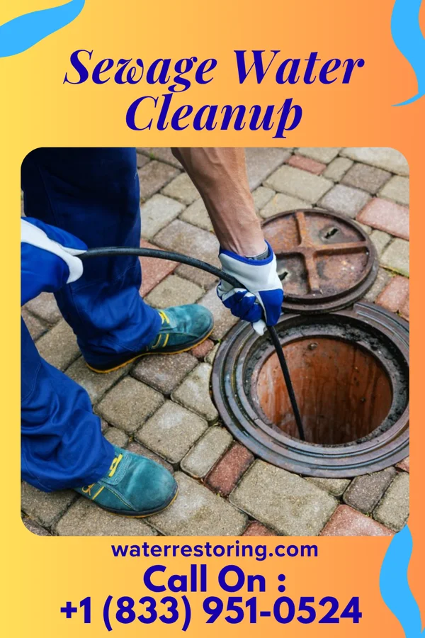 Sewage Water Cleanup in Waldo, OH