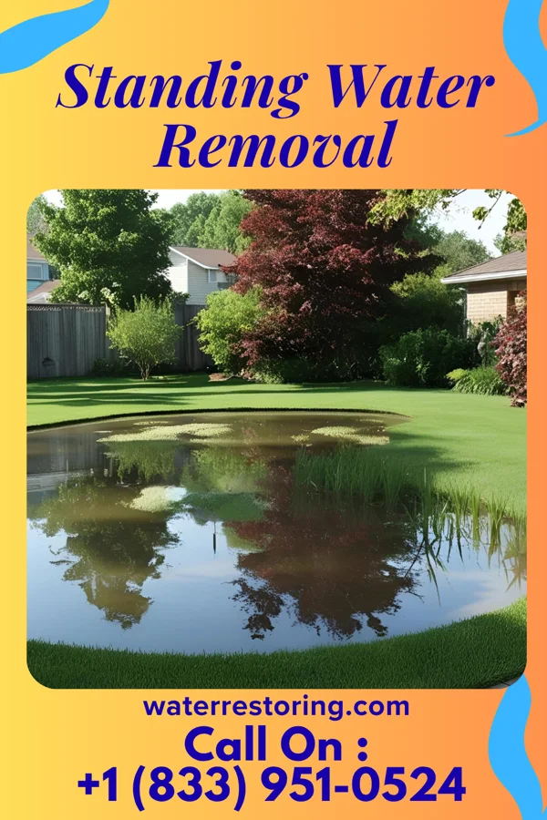 Standing Water Removal in Waldo, OH